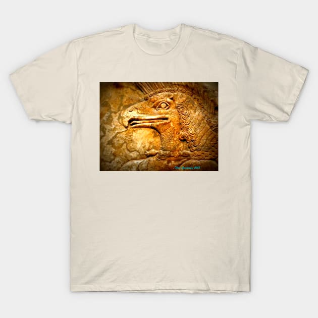 Hieroglyph T-Shirt by thadz